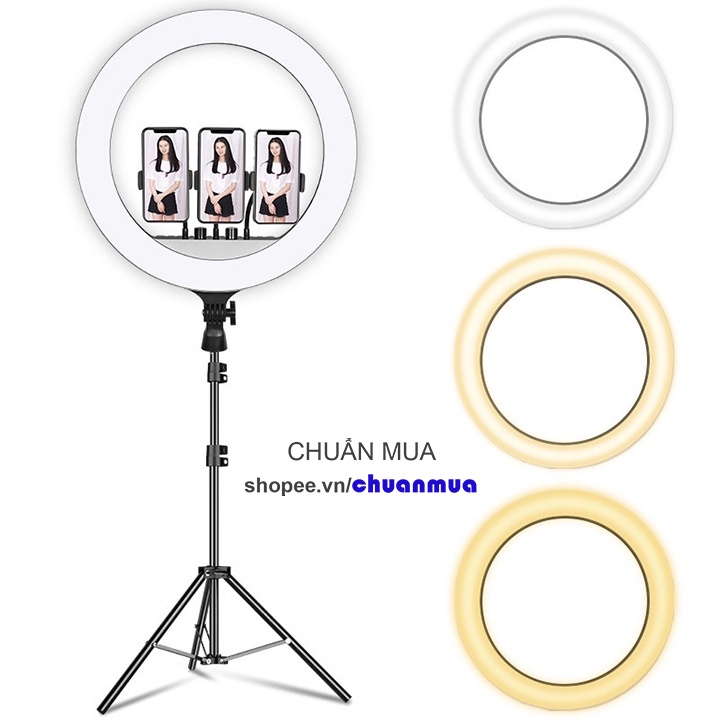 Đèn Livestream Bán Hàng 54cm Trợ Sáng 3 Kẹp Điện Thoại ( Đèn Quay Video Chụp Ảnh Tiktok Make Up Spa Thẩm Mỹ Viện )