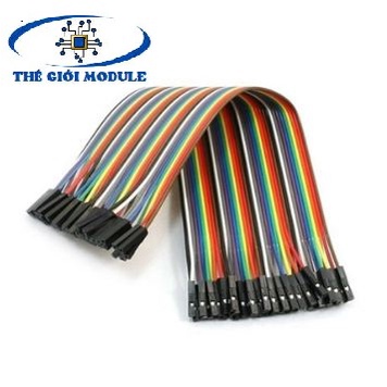 Dây bus, dây bẹ 2 đầu cái 20cm (1 bẹ 40 sợi)