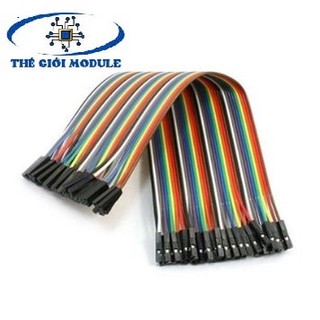 Dây bus, dây bẹ 2 đầu cái 20cm