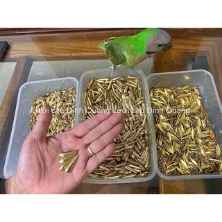 Chì Đồng Câu Lure cá lóc