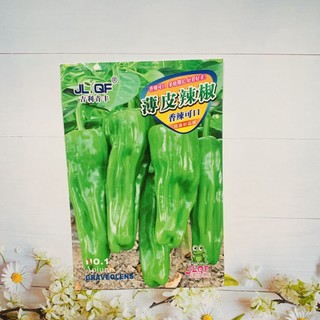 Hạt giống ớt ngọt Shito quả dài. Hàng nội địa Trung. 3 gr/gói
