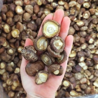 Nấm đông cô khô 500g 1kg