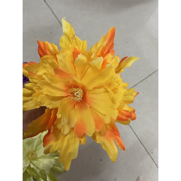 Mẫu đơn phi rời thanh lý