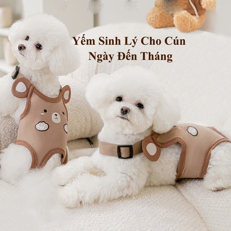 Quần Yếm Sinh Lý Dạng Jump Cho Cún Cái Ngày Rụng Dâu, Chống Cún Đực Quấy Rối Siêu Dễ Thương