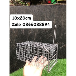 10 lồng bẫy chuột,🐁sóc 10x20cm lưới chì