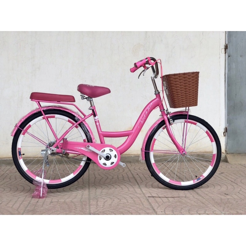 Xe đạp mini Việt Nhật