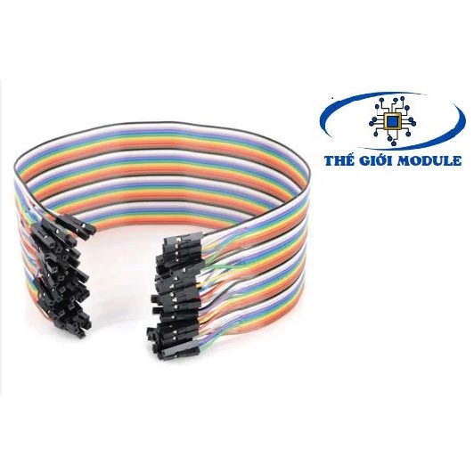 Dây bus, dây bẹ 2 đầu cái 30cm (40 sợi)