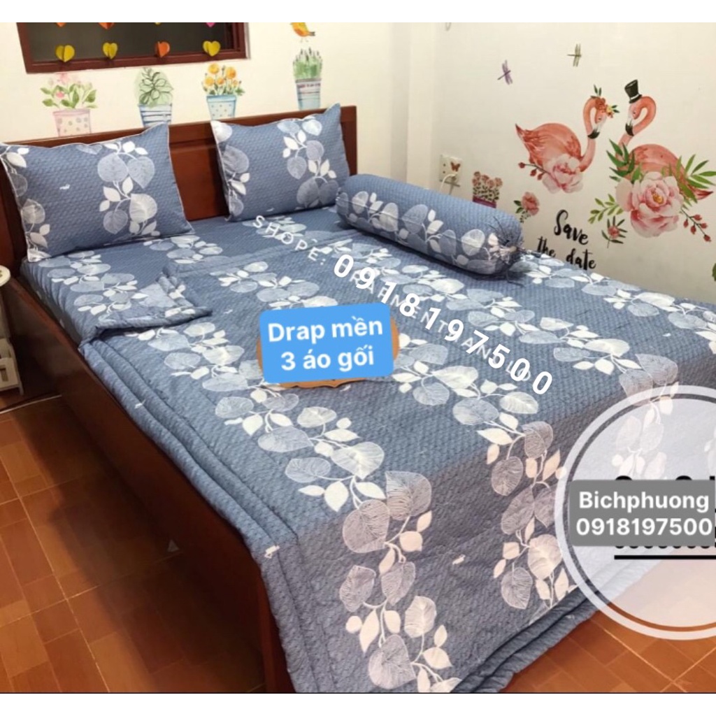 Bộ Drap Cotton Thắng Lợi Kèm Mền Chần Gòn -5 món {chuẩn logo CTY} hoặc mền lẻ
