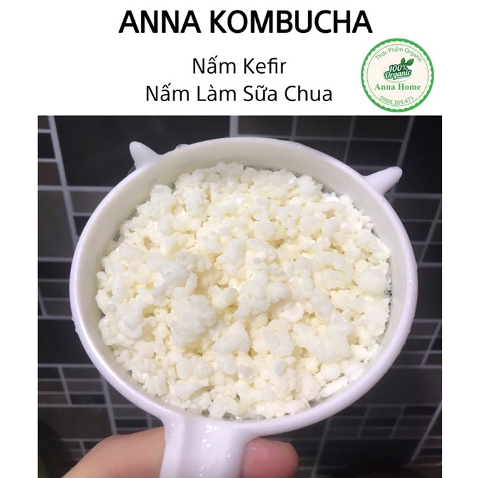 NẤM KEFIR LÀM SỮA CHUA