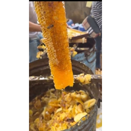 Mật ong đặc sản hoa Cà Phê