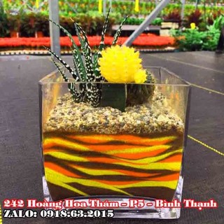 Lọ hoa thủy tinh trang trí vuông 10 x 10cm