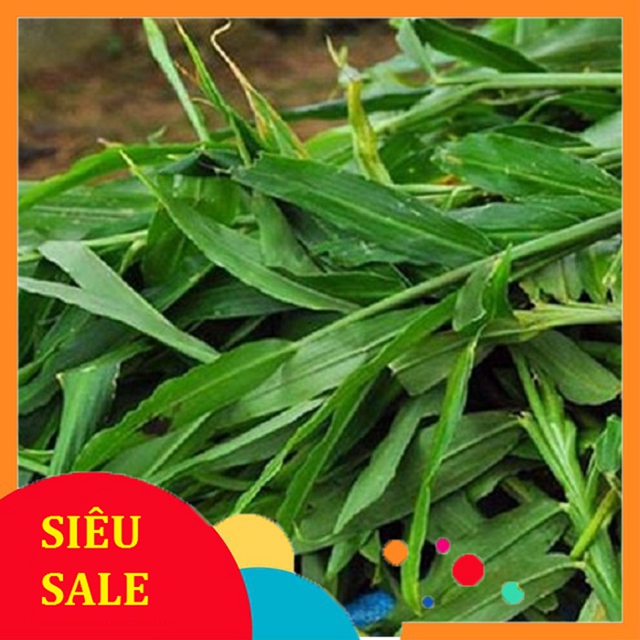 Lá Gừng Tươi 100gr (Hàng luôn có sẵn)