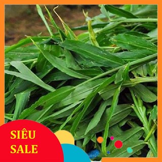 Lá gừng tươi 100gr