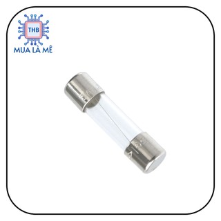 Cầu chì thủy tinh 2A 250V 5x20mm(10C)