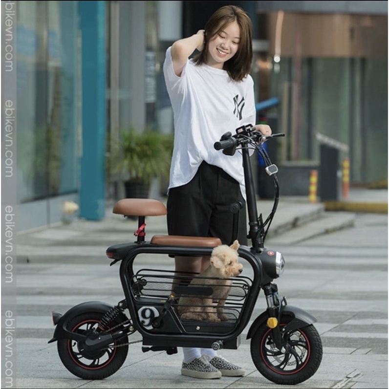 Xe đạp điện  LIHAZE THELI 3 chỗ ngồi