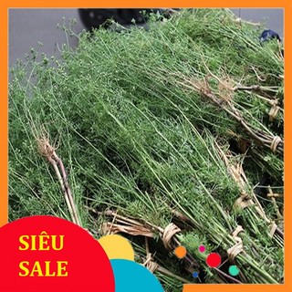500gr Ngò Già tươi - Hàng có sẵn.mùi già
