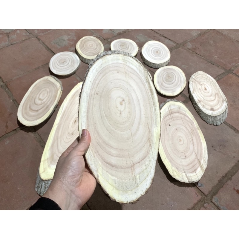 LÁT GỖ Decor trang trí 16cm - 30 cm GIÁ TỪ 18k