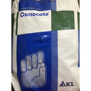 (Túi 500gr) Phân tan chậm hạt vàng Osmocote 14-14-14 ( Nhập khẩu Mỹ)