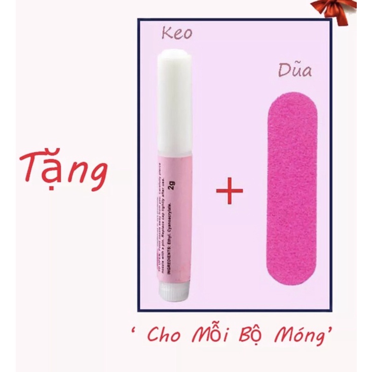 Nailbox Móng tay úp nails thiết kế Trắng Đen tặng keo dũa