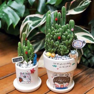 Xương rồng thanh sơn kèm chậu vẽ tay MIỄN PHÍ theo yêu cầu