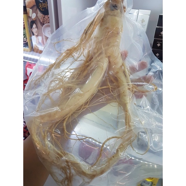 Nhân sâm Hàn Quốc