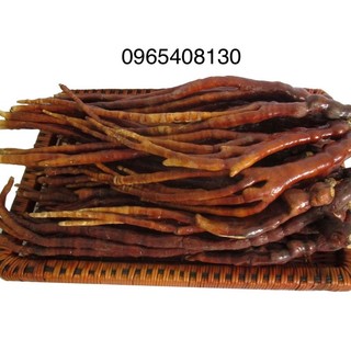 Nấm Linh Chi Sừng Hươii