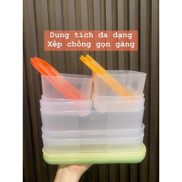 Set 8 hộp trữ đông màu