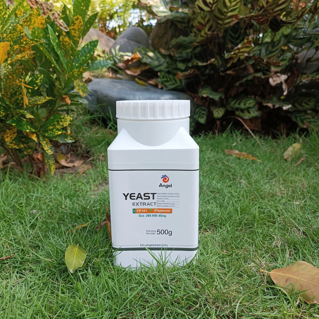 Pepton yeast FP101-500g/chai  dùng nuôi vi sinh, trồng nấm,dùng cho thực phẩm