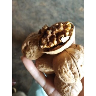 Nhân Hạt Óc chó tách vỏ
