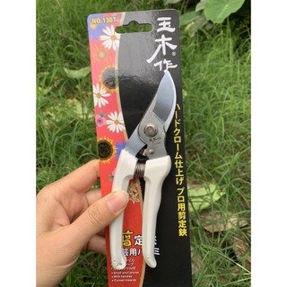 Kéo cắt cành cây ăn quả, cây cảnh, bonsai