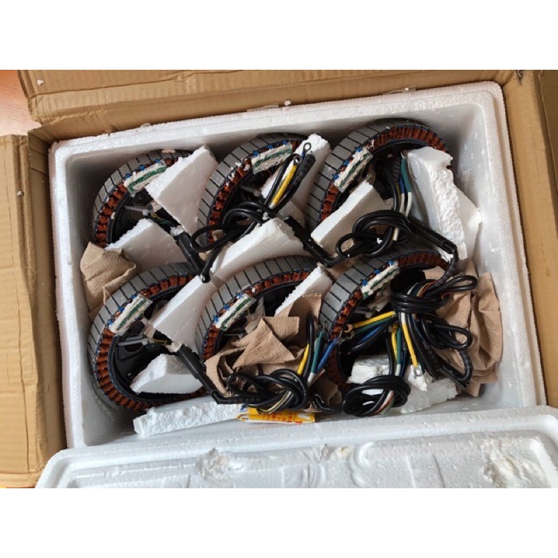 Lõi Motor Xe Điện 500w 10+ bi 6202-6203