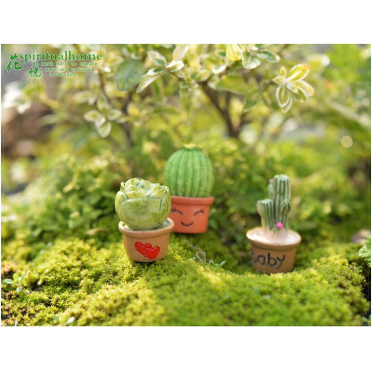 Set 7 Chậu Cây Xương Rồng Mini Trang Trí Taplo Oto Bàn Làm Việc - Đồ Decor Ô Tô Phòng Ngủ Luxcar Giá Rẻ