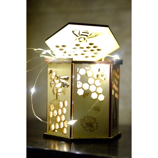Set tô màu mô hình hộp đa giá gỗ plywood trang trí dễ thương kèm màu và cọ - Wood Polygonal Box