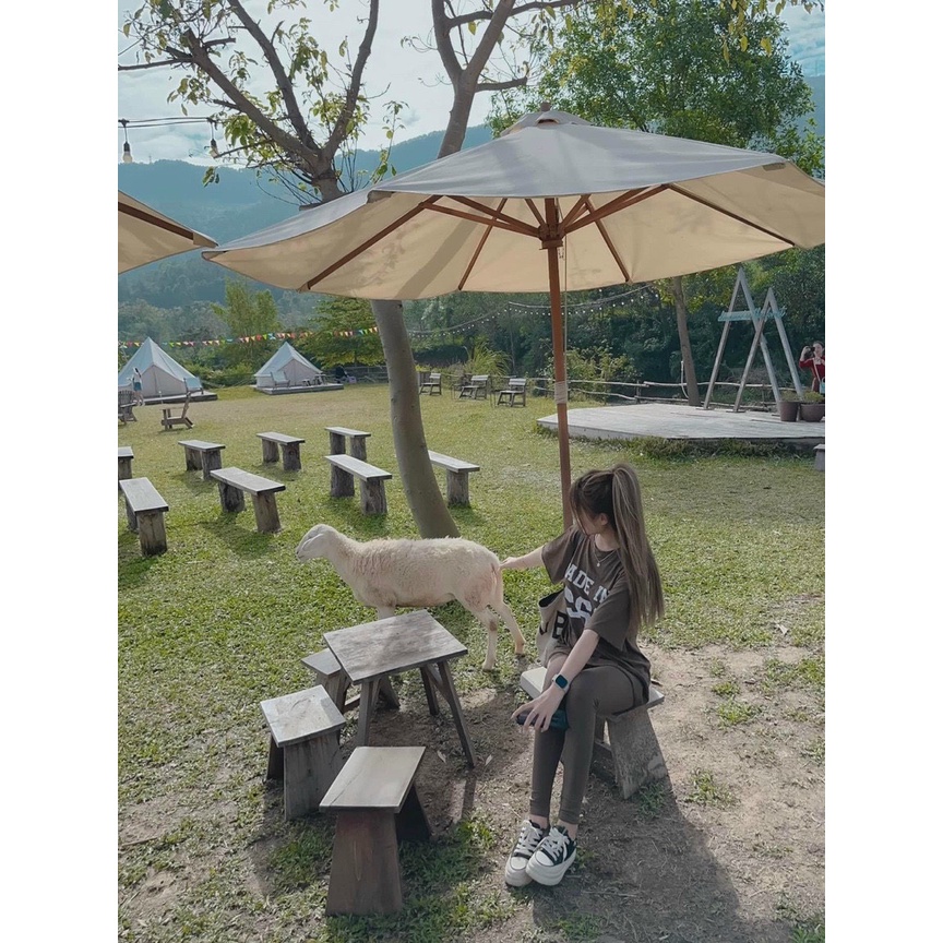 Sét bộ nữ thời trang mặc đi chơi chất thun cotton áo form rộng cổ tròn tay lỡ in hình mix quần dài ôm sát trẻ trung