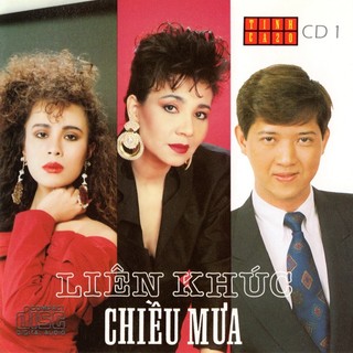 Đĩa cd 243 -liên khúc chiều mưa – tình ca 20 chất lượng cao