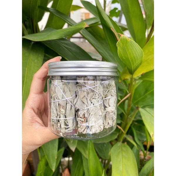White Sage - Xô Thơm 10g Hộp Lớn/ Nhỏ
