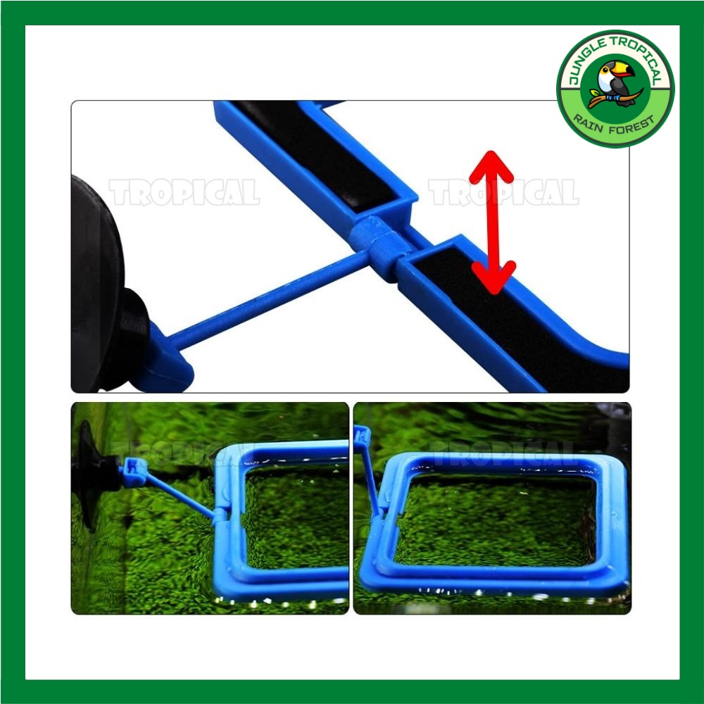 Vòng cho cá ăn - giữ thức ăn không bị phân tán - Loại mỏng/dày - hình tròn/vuông