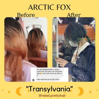 Thuốc nhuộm tóc Arctic Fox Transylvania