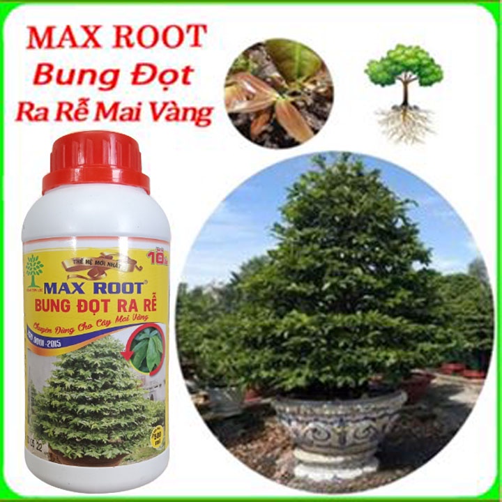 Max Root Bung Đọt Ra Rễ Mai Vàng 500ml
