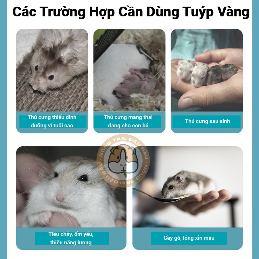 Gel Dinh Dưỡng Jonsanty Hỗ Trợ Tiêu Hóa, Tiêu Búi Lông, Mượt Lông Cho Thỏ, Bọ Ú, Hamster, Chinchilla 40g