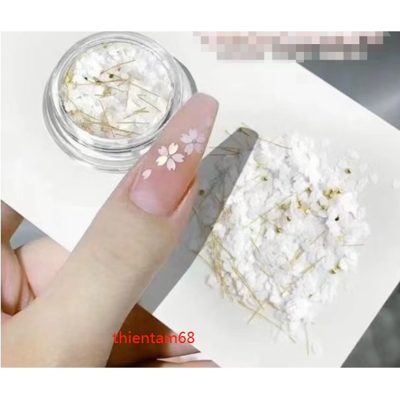 hũ charm hoa trắng mã mới
