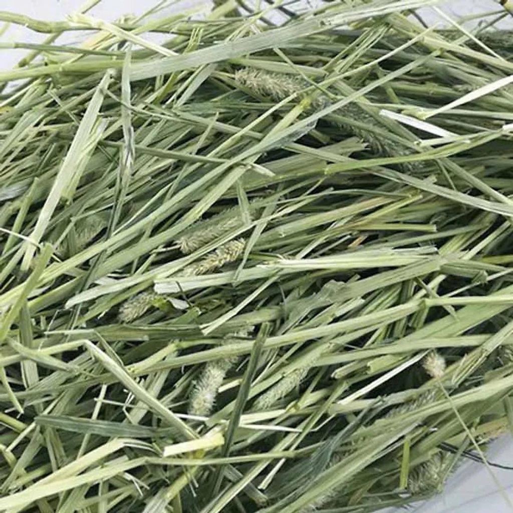 3 ký Cỏ Timothy cho thỏ,bọ ú trên 6 tháng tuổi .