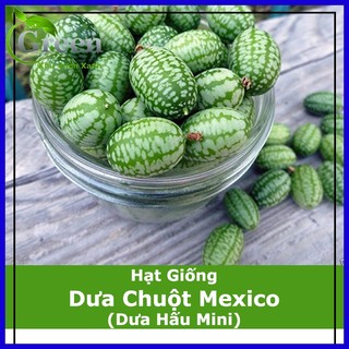 Hạt giống dưa chuột mexico - dưa hấu mini gói 5 hạt