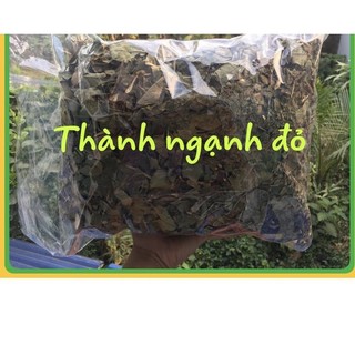 Cây lá thành ngạnh(cây đỏ ngọn) loại 1(mới, sạch, nhiều lá)[1KG]