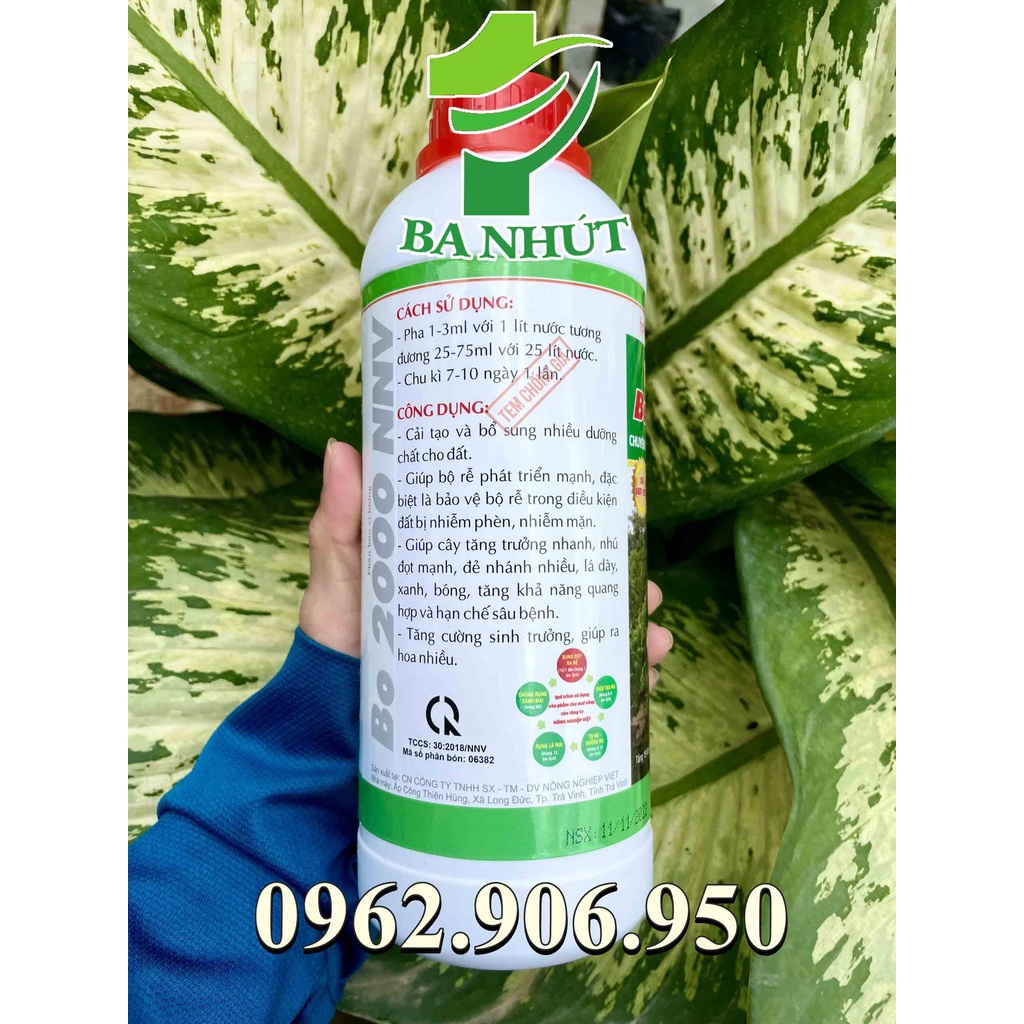 Phân Bón Lá MAX ROOT Bung Đọt 1LIT - Bung Đọt Ra Rễ Mai Vàng 1 Lít, Chuyên Dùng Cho Mai Vàng