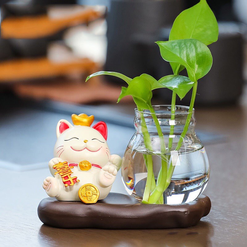 Bình thủy sinh kèm tượng mèo thần tài, mèo may mắn, Chậu trồng cây thủy sinh mini để bàn làm việc