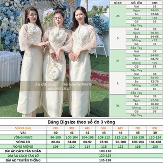 Áo Dài Cách Tân Nữ Tay Bèo LD55