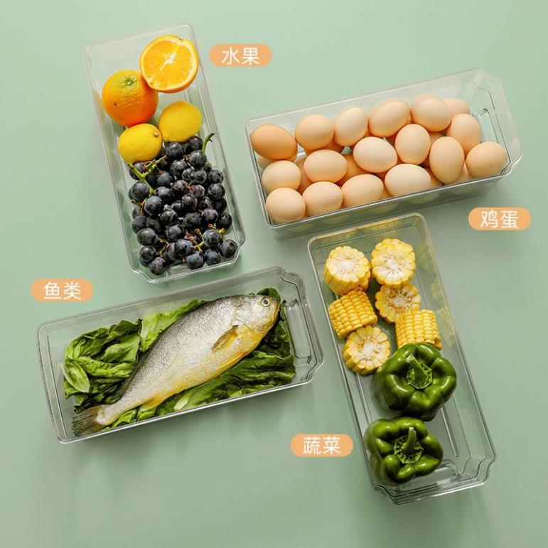 Hộp nhựa trong suốt đựng thực phẩm để tủ lạnh ngăn nắp