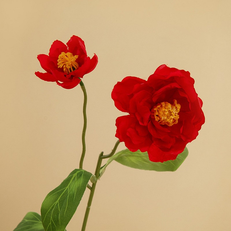 Hoa Anh Túc Giả, Hoa Poppy 1 Cành 2 Bông Size Lớn 53cm Cao Cấp Trang Trí Phòng, Decor Nhà Cửa,Phụ Kiện Chụp Ảnh Sản Phẩm