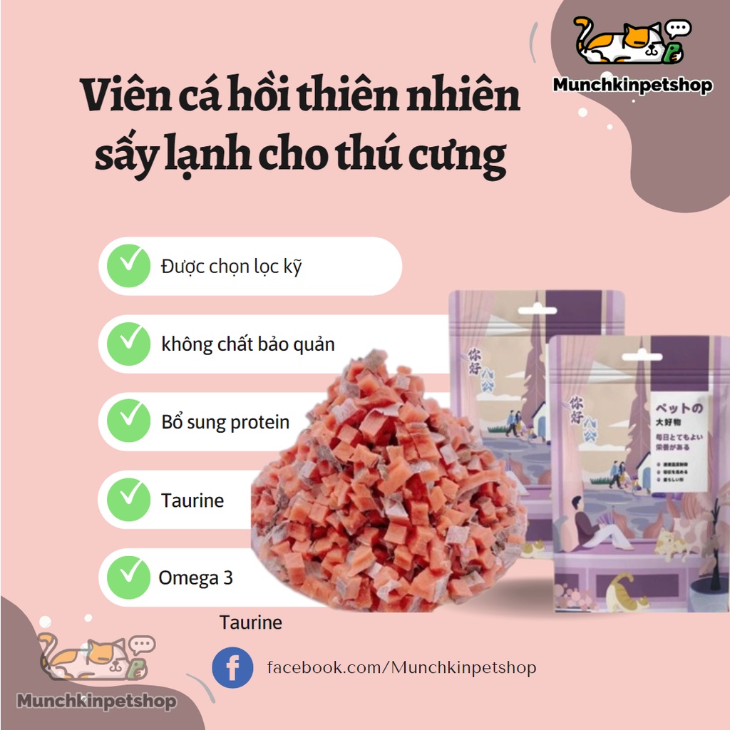 Cá hồi sấy khô cao cấp cho thú cưng bổ sung dinh dưỡng - 100G